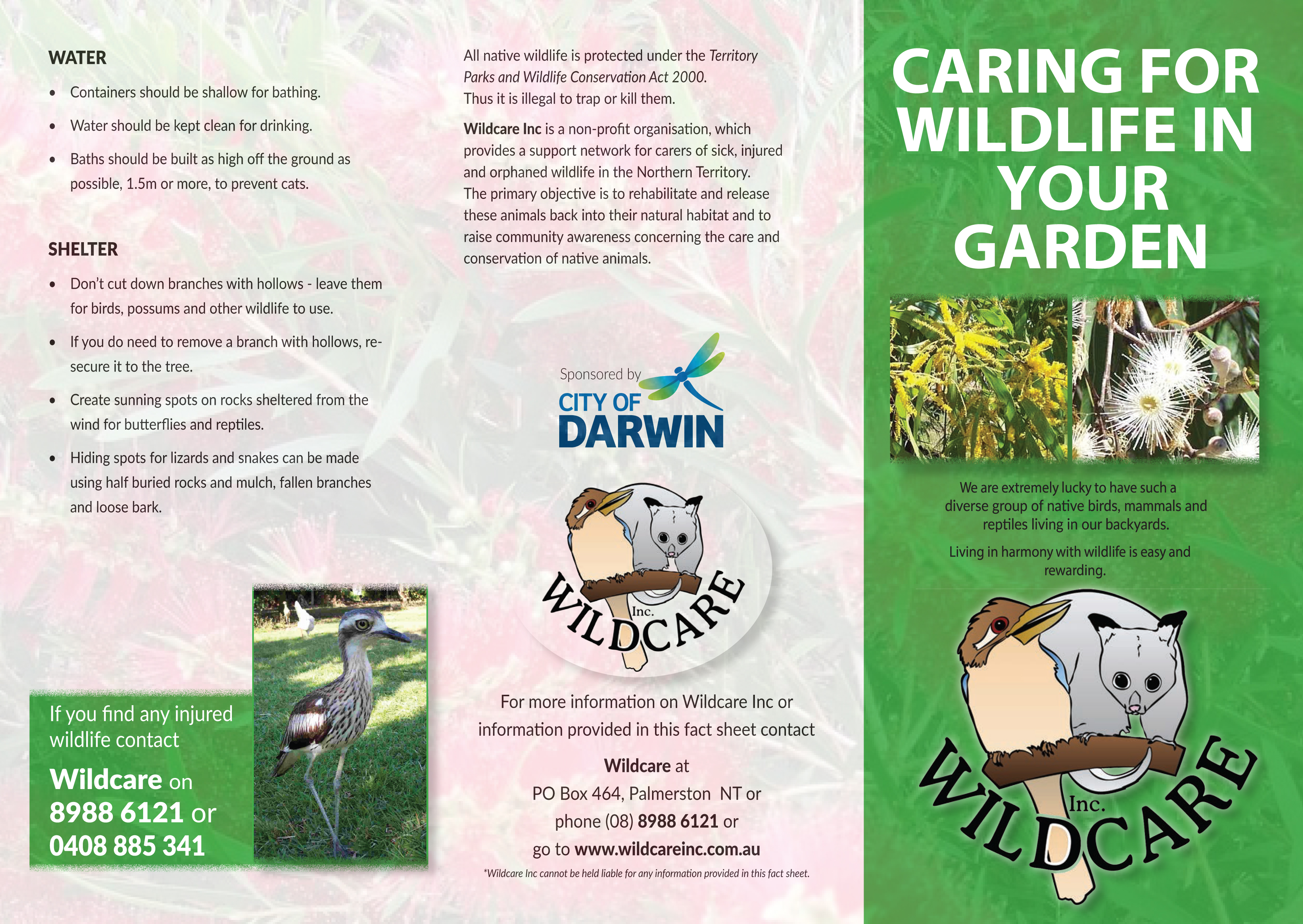 Caring for wildlife in the garden part1